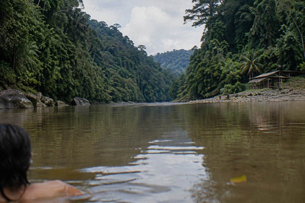 A calm pool between rapids reflecting dense rainforest on both banks