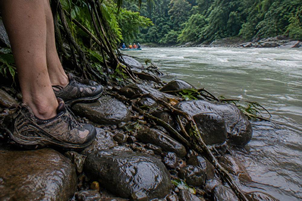 Close view of muddy river shoes standing on wet rocks at the edge of a rainforest river