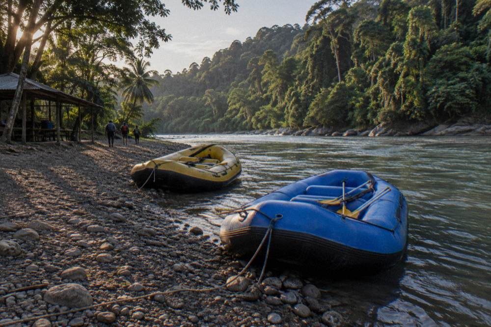 Rafts moored on a gravel riverbank beside dense rainforest in the late afternoon