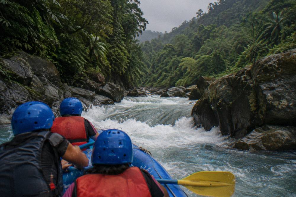A raft passing between steep rainforest walls with white water breaking over rocks