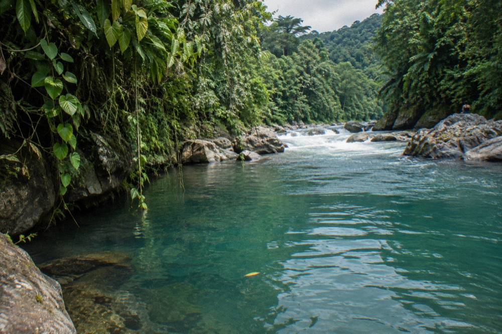 Calm turquoise pool water between rapids fringed by dense green rainforest