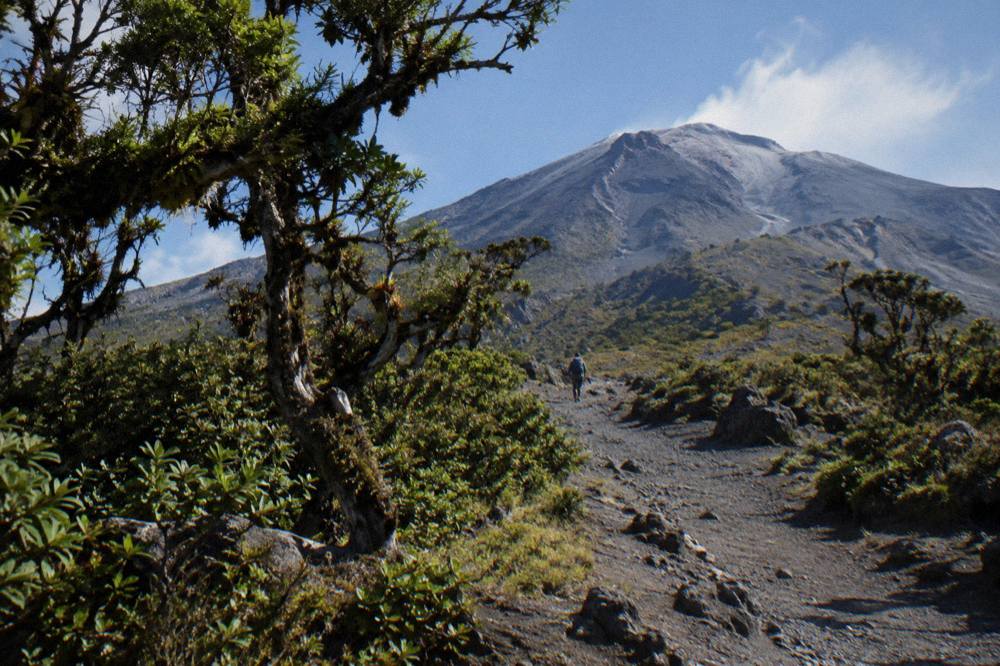 Cleared mountain trail with volcanic slopes rising above cloud forest