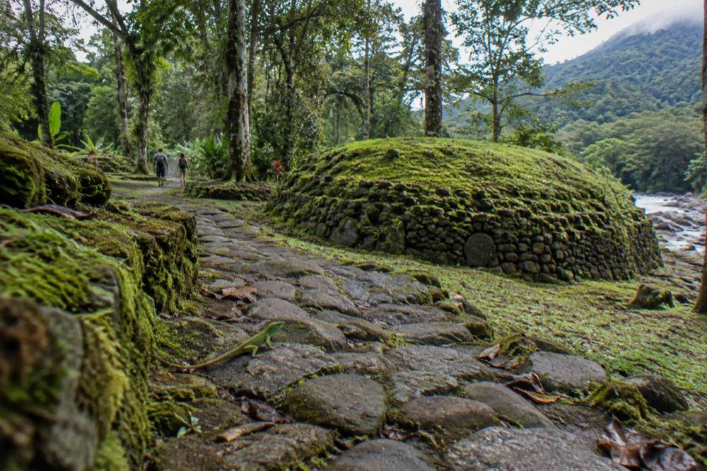 Ancient stone pathway winding through rainforest with moss covered mounds