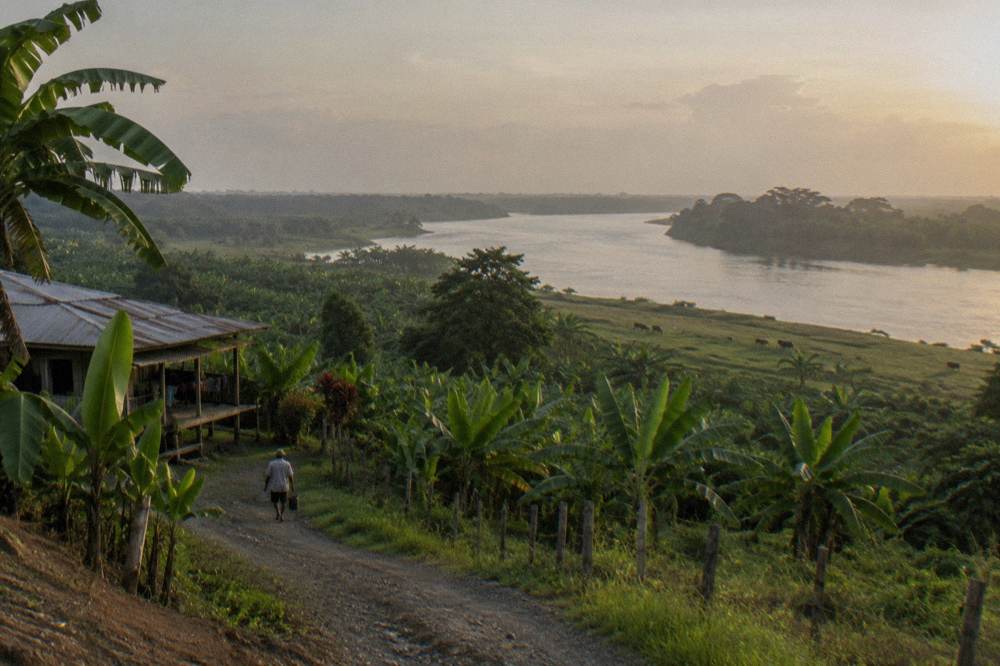 A wide tropical river winding through flat green lowland forest toward the horizon