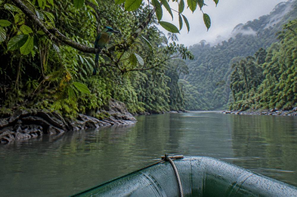 A raft floating through a calm pool between two sections of forested riverbank