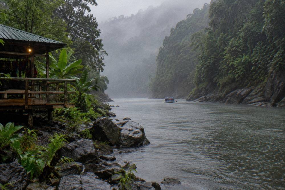 Rain falling on a jungle river canyon with mist hanging over the tree canopy