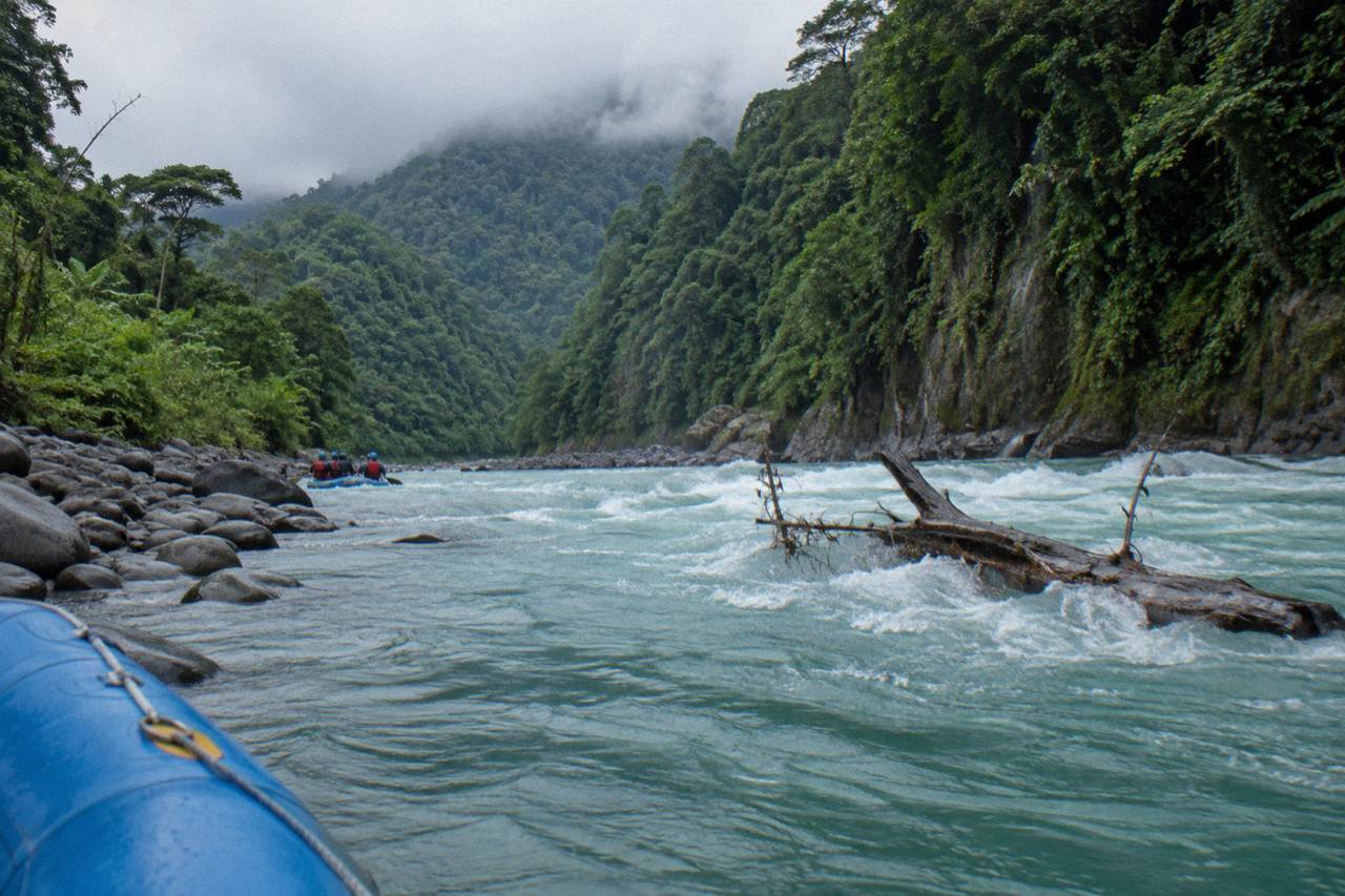 A rainforest gorge with a turquoise river running between steep green walls under an overcast sky