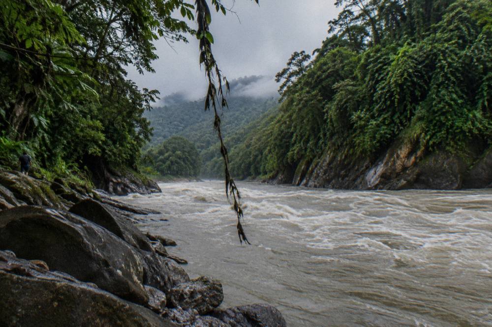 A river running high through dense green rainforest under a grey sky