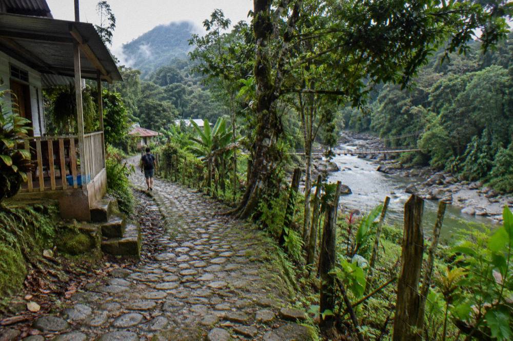 Ancient stone paved road winding through rainforest at an archaeological site