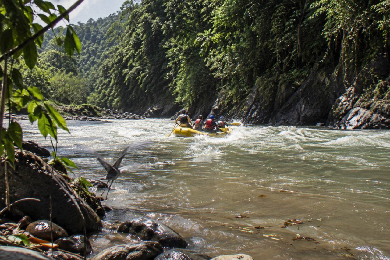 A raft cutting through a green jungle gorge on a tropical river