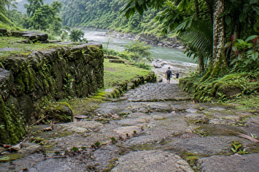 Ancient stone pathway through rainforest at an archaeological site