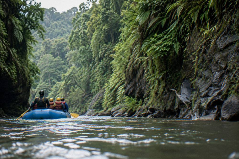 Raft floating through a narrow green jungle canyon on a tropical river
