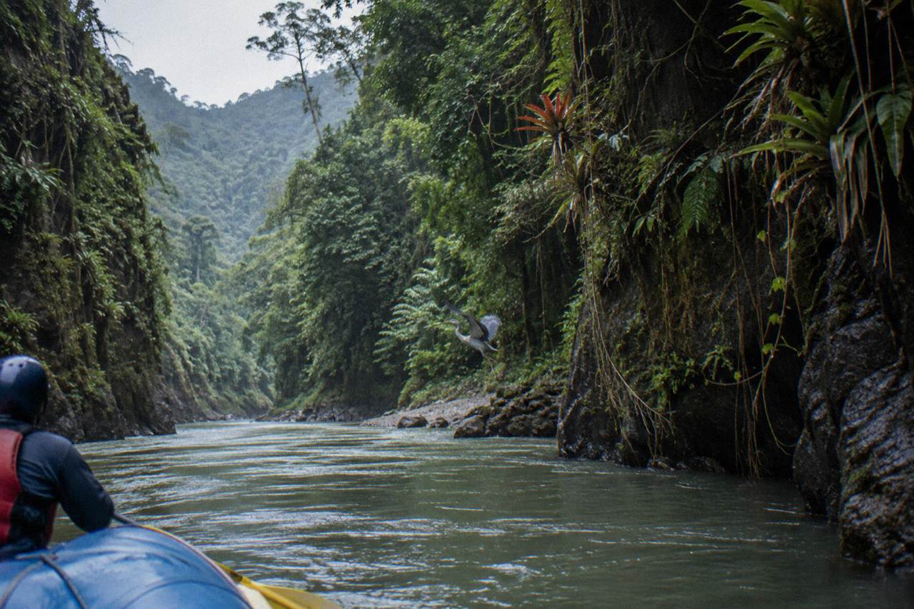 Raft passing between steep rainforest walls on a jungle river corridor