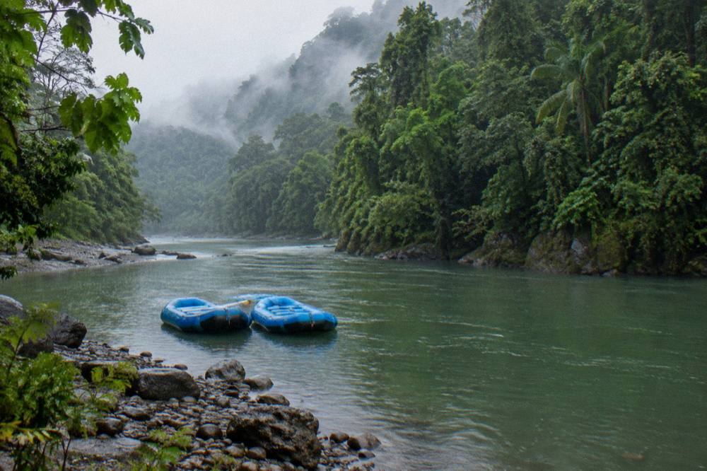 Two rafts floating side by side on calm green water between rainforest banks