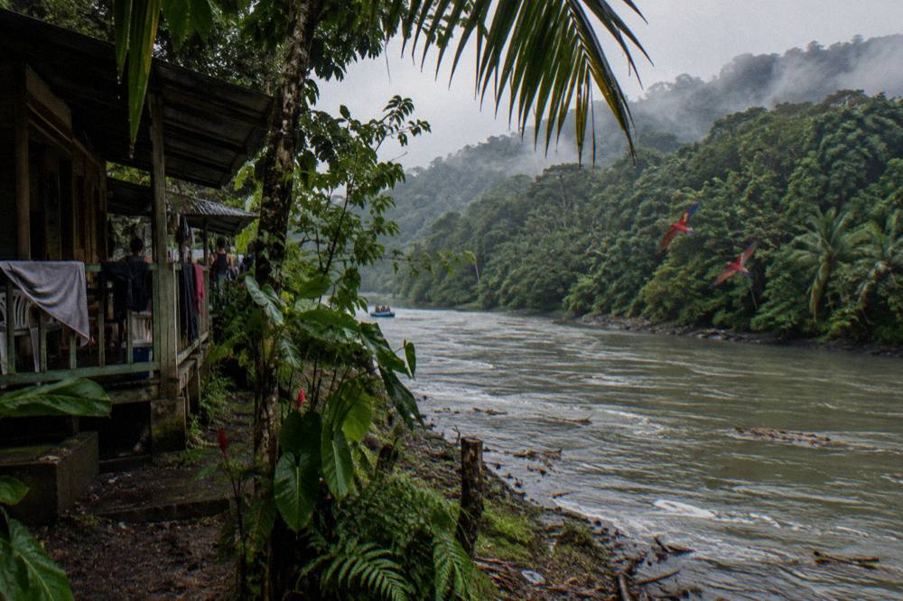 A calm turquoise river winding through tall rainforest with mist on the ridgeline