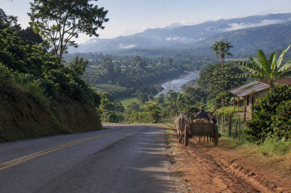 Winding two-lane road descending through green hills toward the Caribbean lowlands