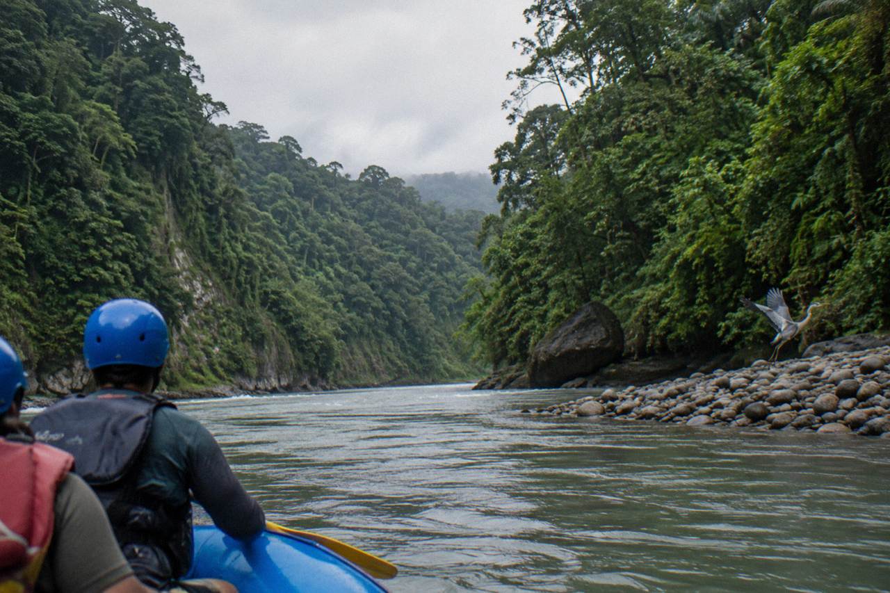Raft floating through a narrow green jungle canyon on the Pacuare River