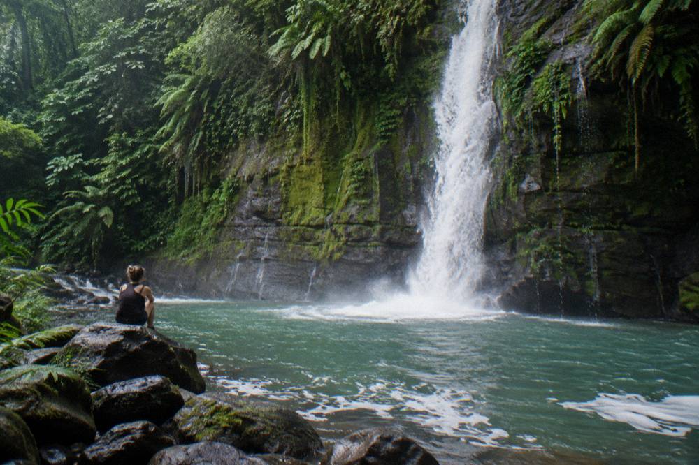 A tall waterfall pouring from a cliff directly into a jungle river gorge