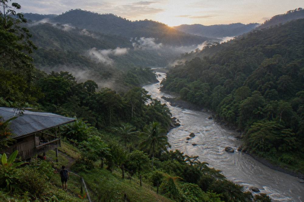 A wide jungle river valley with mist over dense green rainforest