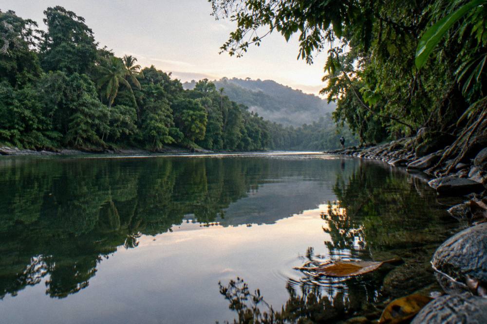 A calm pool in a jungle river reflecting overhanging trees in early light.
