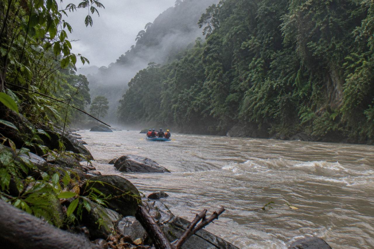 Dense green rainforest walls rising on both sides of a winding tropical river with mist over the water