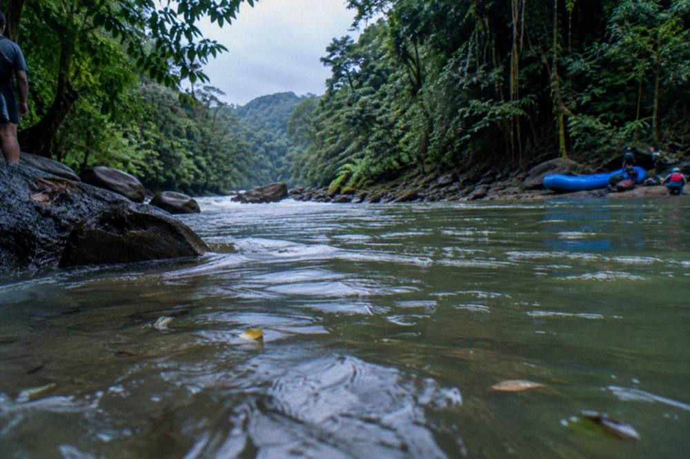 A calm turquoise pool between rapids with dense rainforest reflected on the water