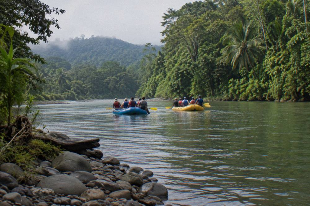 Two rafts floating side by side on calm green water between rainforest banks
