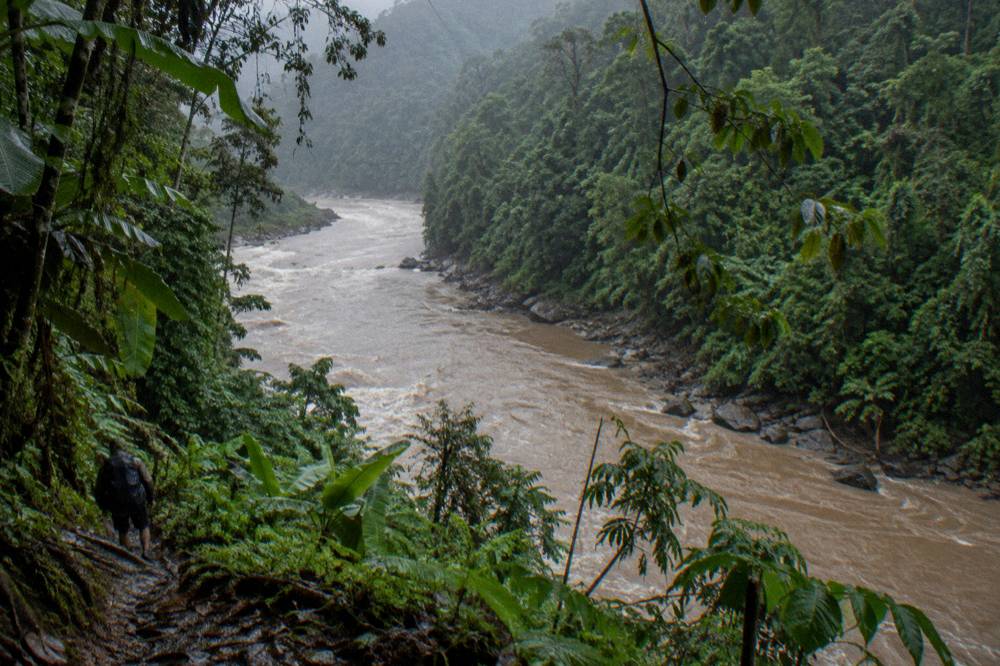 A rain-swollen brown river filling a jungle channel between steep banks