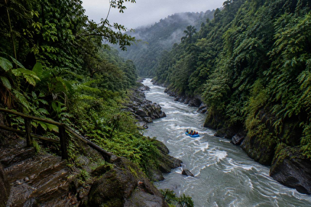 A raft cutting through a narrow rainforest gorge with dense green walls on both sides