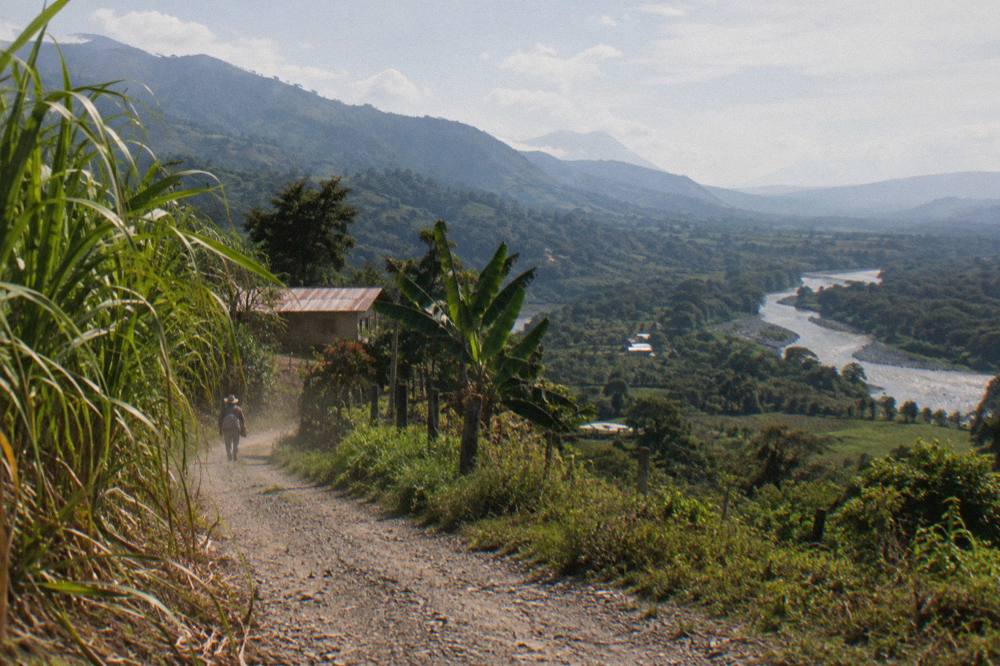 Valley panorama with river winding through rainforest toward distant Caribbean lowlands