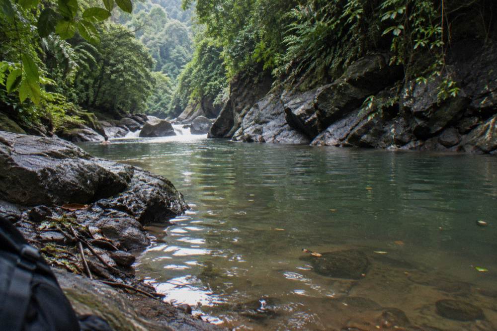 A calm turquoise pool between rapids with dense green rainforest reflected on the water