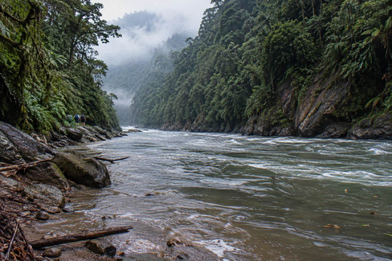 A remote jungle river winding between steep rainforest canyon walls at dawn