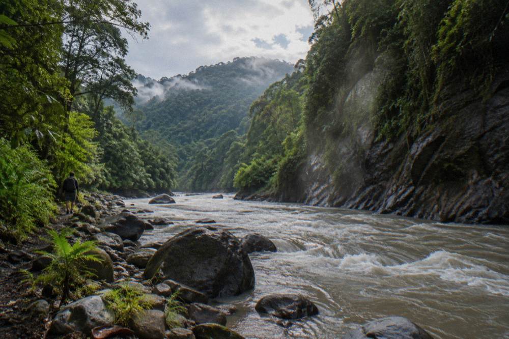 Rainforest river gorge under a mix of sun and cloud