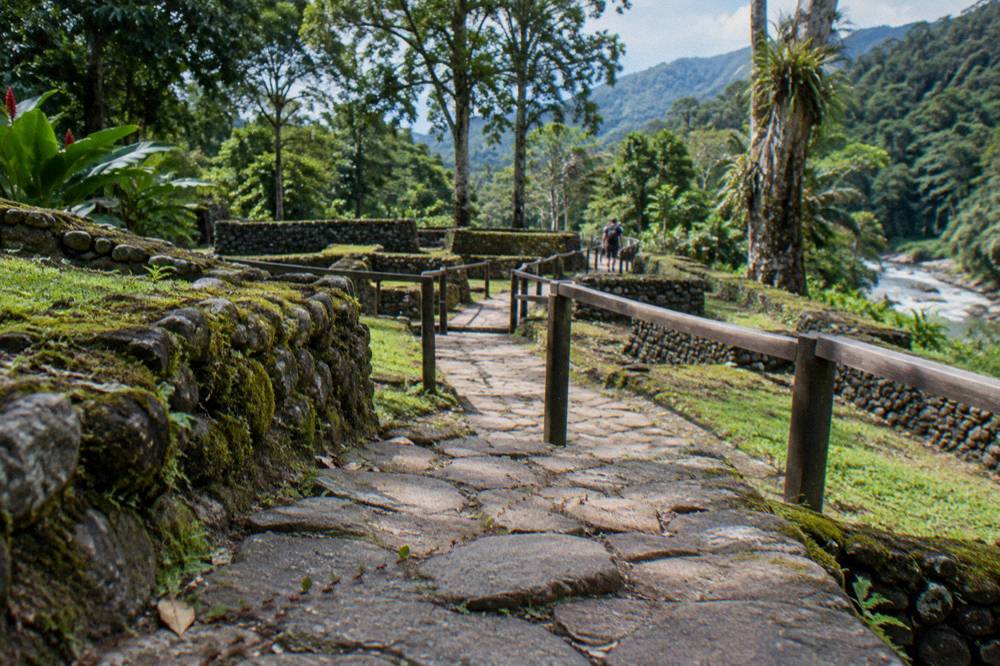 Ancient stone pathway and foundations of an archaeological site surrounded by forest