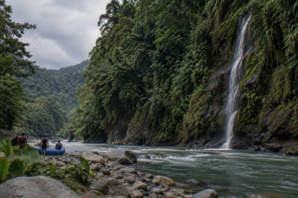 A rainforest canyon wall with a thin waterfall dropping toward a green river below
